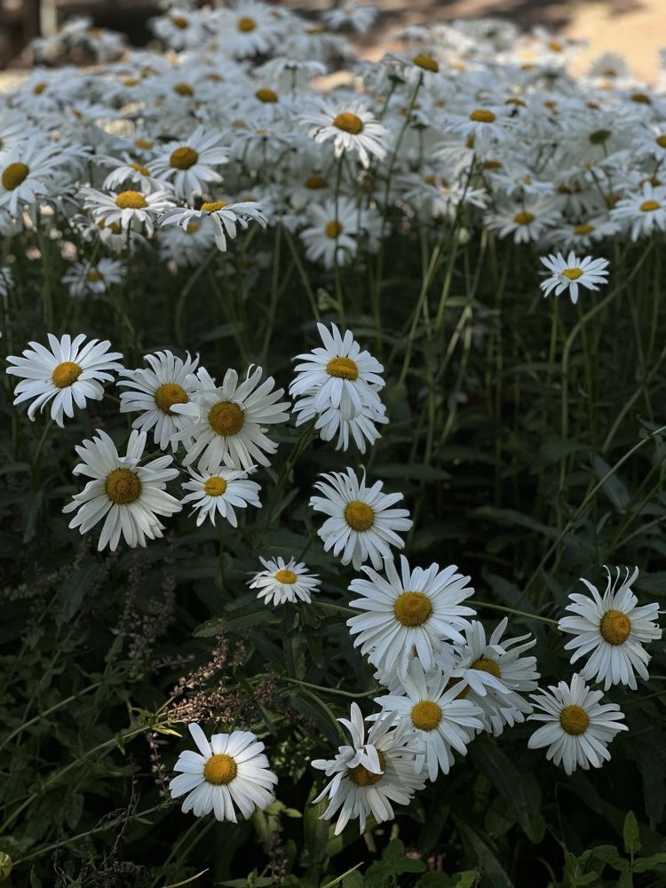 Photograph by Анна Мышкина