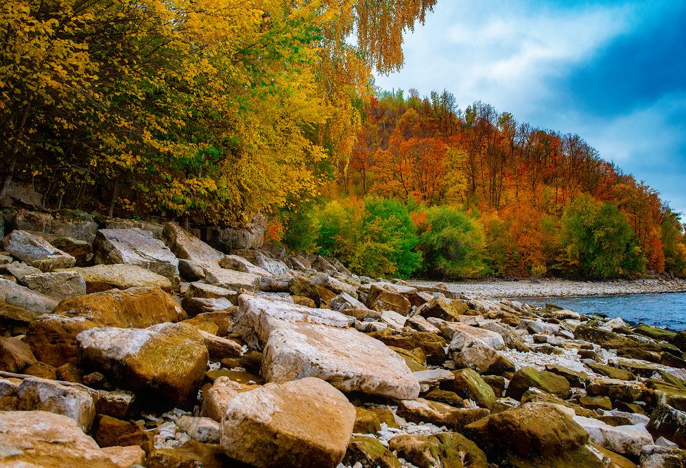 Photograph by Дзюба Нелли