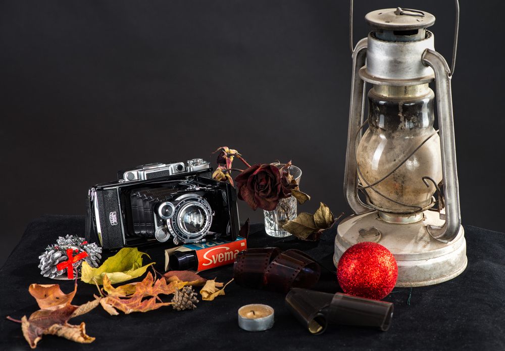 Photograph by Римма Волченко