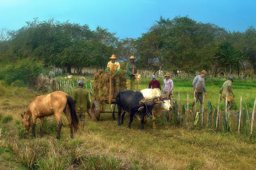 Photograph by Усманов Рашид