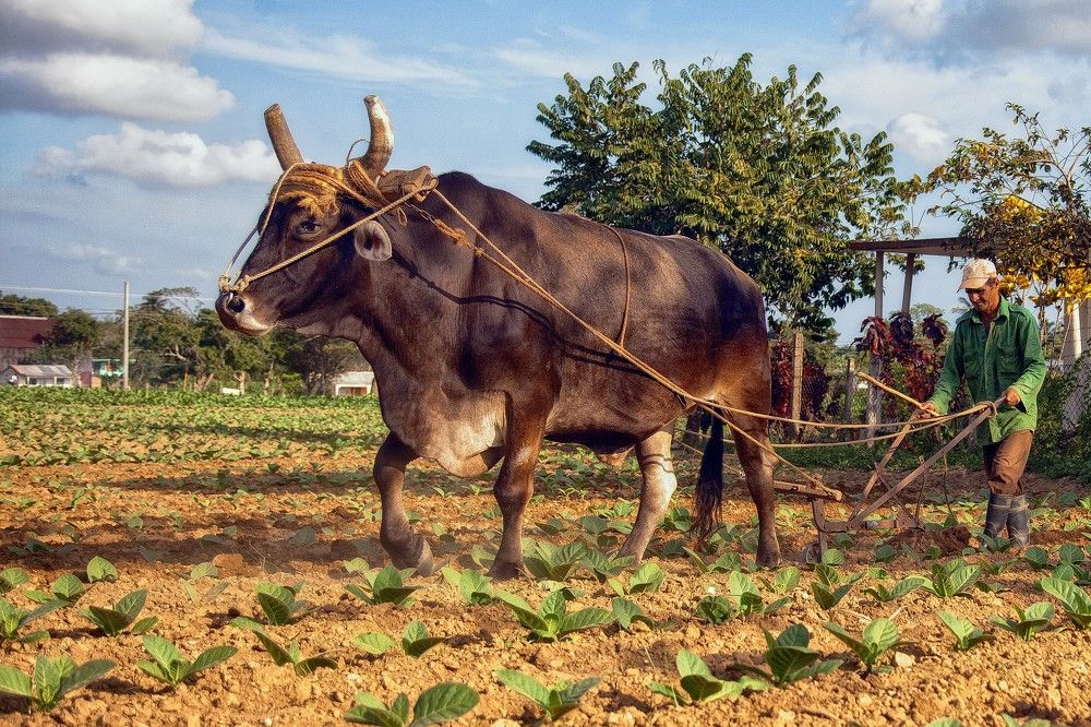 Photograph by Усманов Рашид