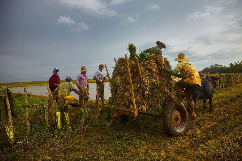 Photograph by Усманов Рашид