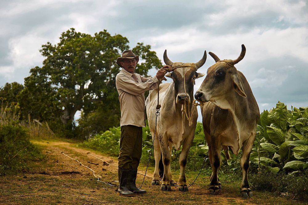 Photograph by Усманов Рашид