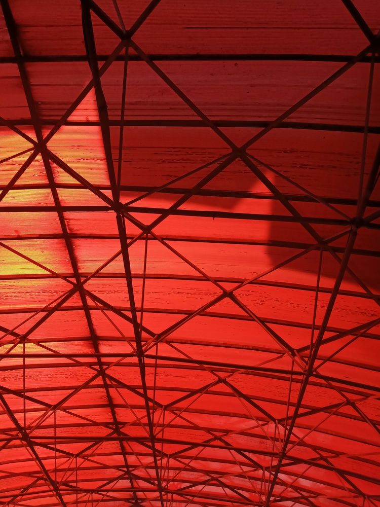 Photograph by Rahim Rahimi