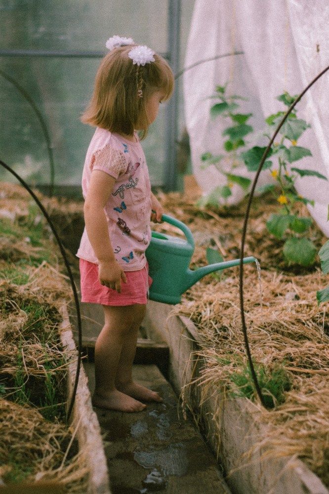 Photograph by Кристина Торгашова