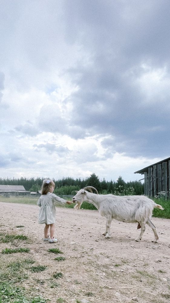 Photograph by Кристина Торгашова