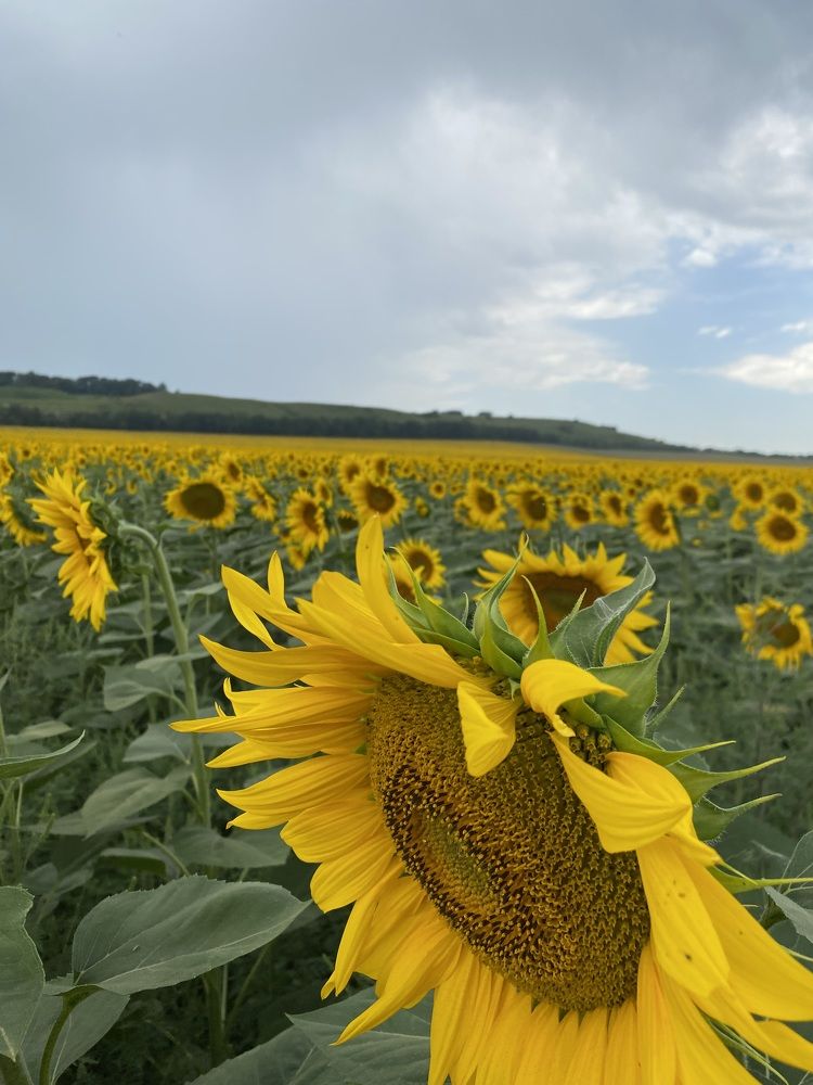Photograph by Сергей Байбаков