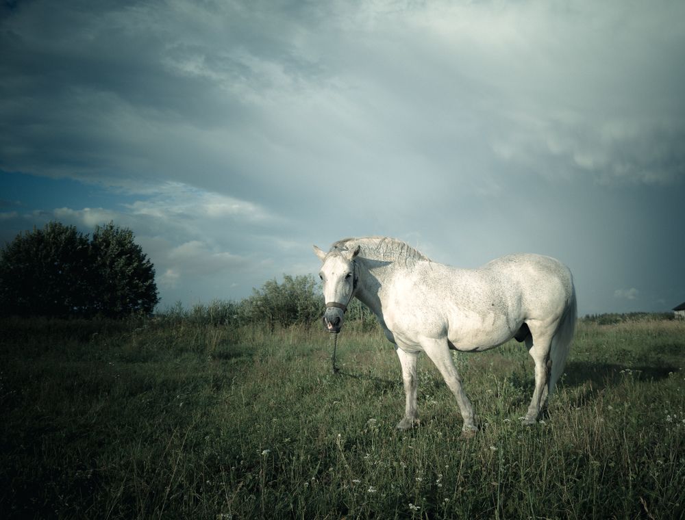 Photograph by Vitaliy