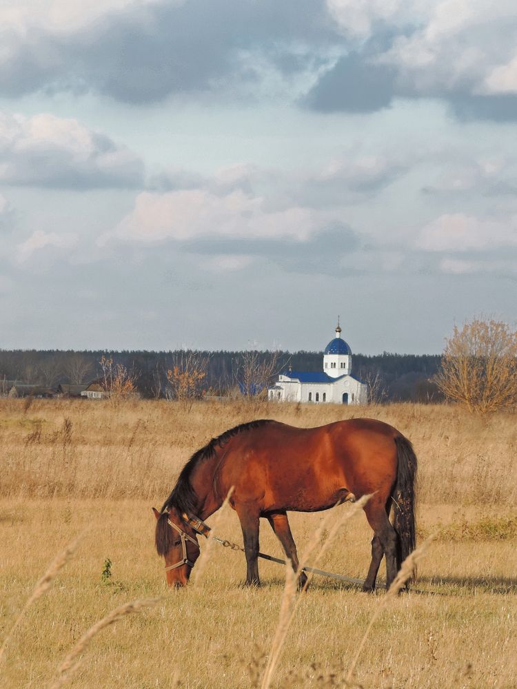 Photograph by Maria Shirokikh