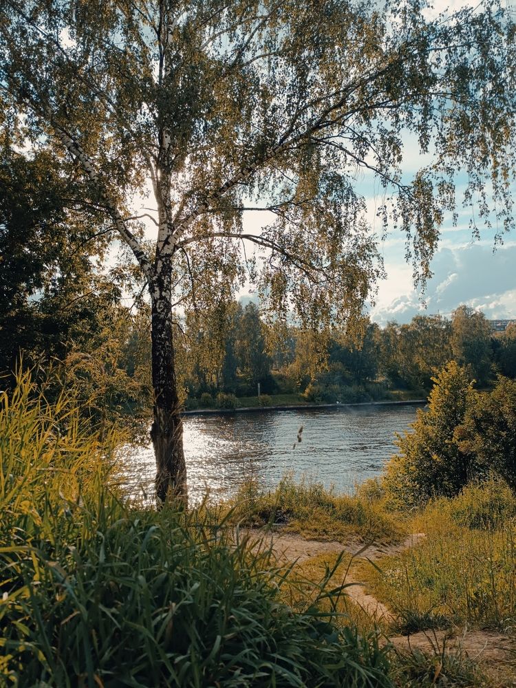 Photograph by Виталий К.