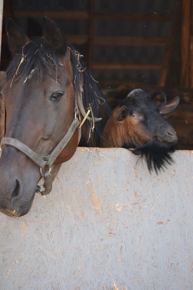 Photograph by Юлия Локалова