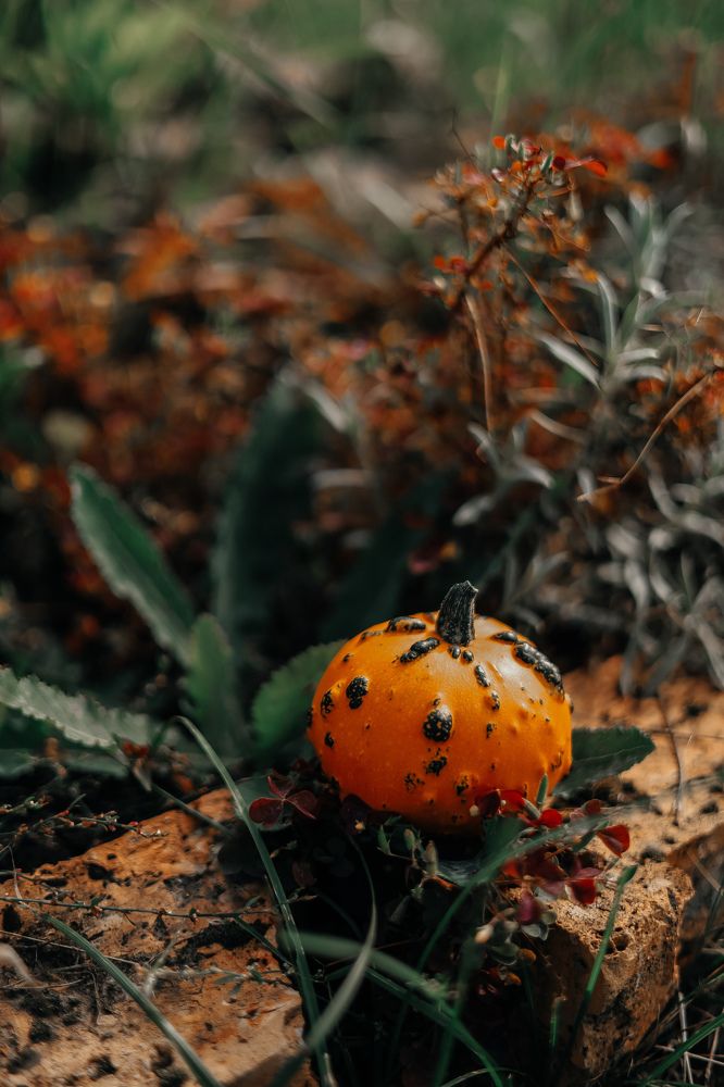 Photograph by Людмила Васильева