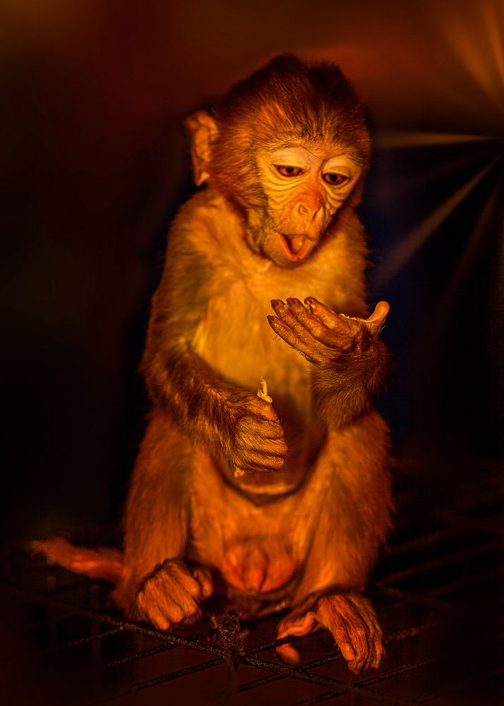 Photograph by Виктор Холодов