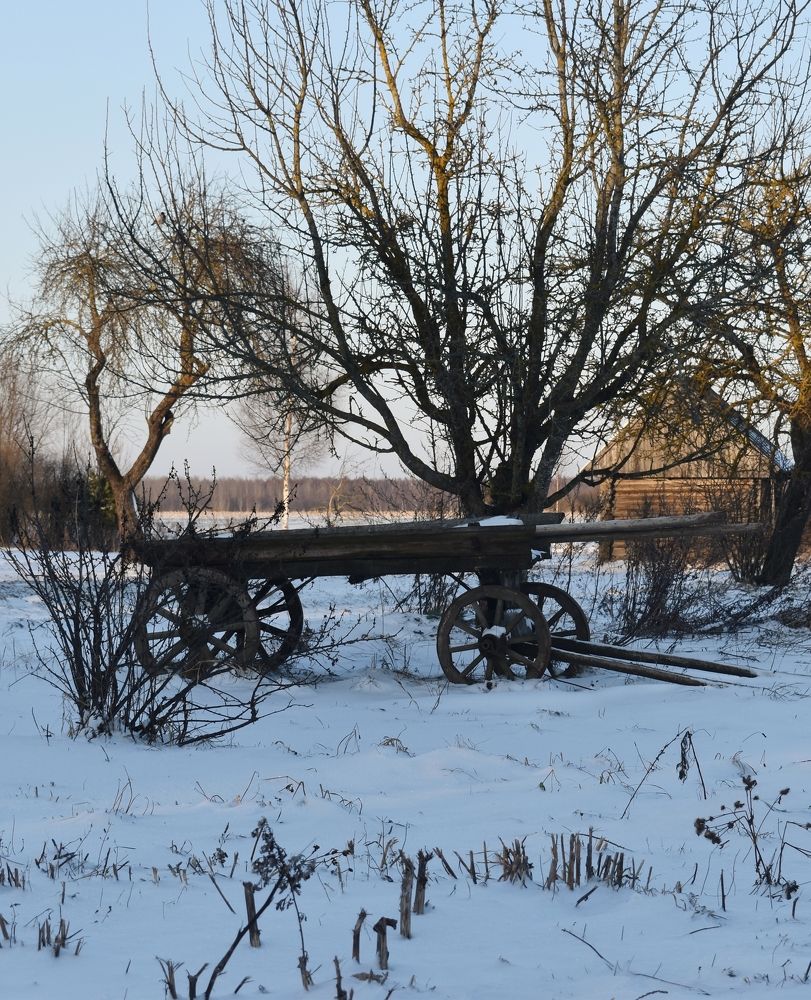 Фотография автора Catherine Shashkova