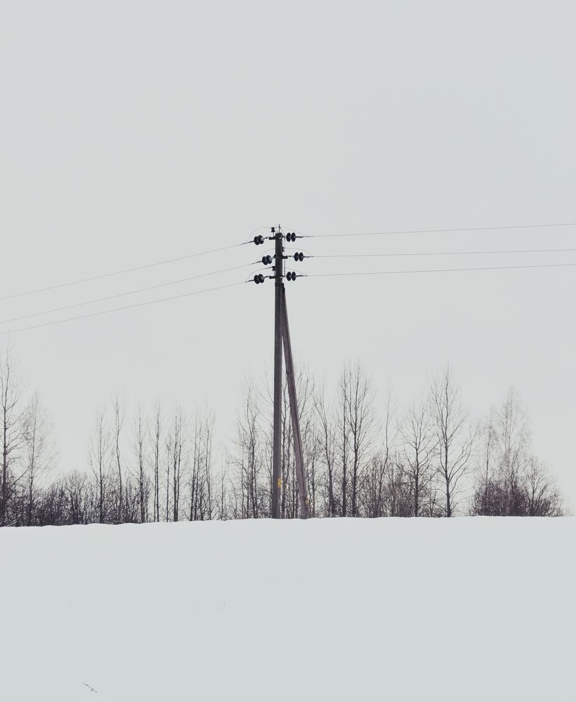 Фотография автора Catherine Shashkova