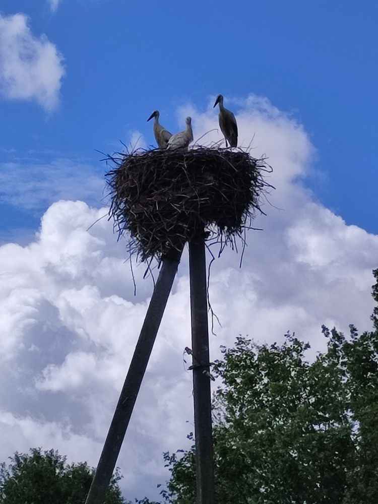 Photograph by Ольга Сучкова