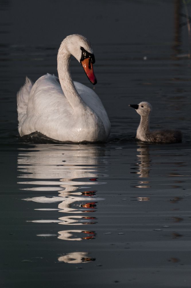 Photograph by Кривцов Андрей