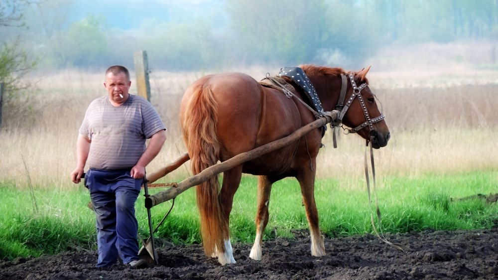 Photograph by Maria Shirokikh
