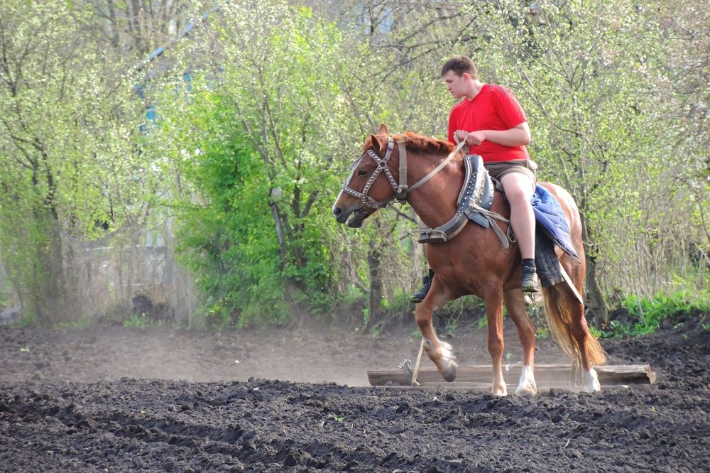 Photograph by Maria Shirokikh