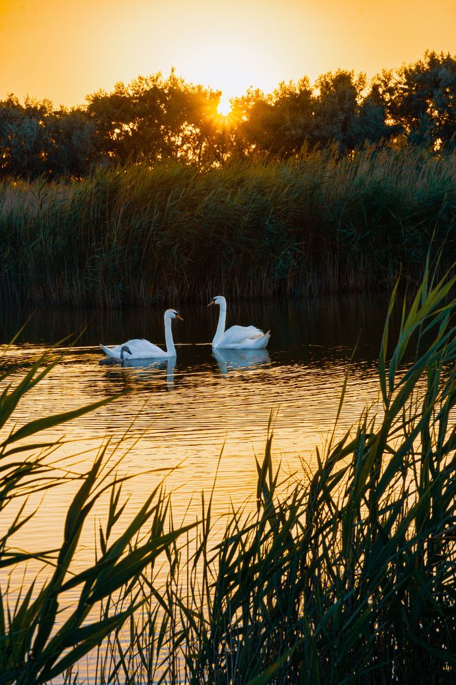 Photograph by Кривцов Андрей