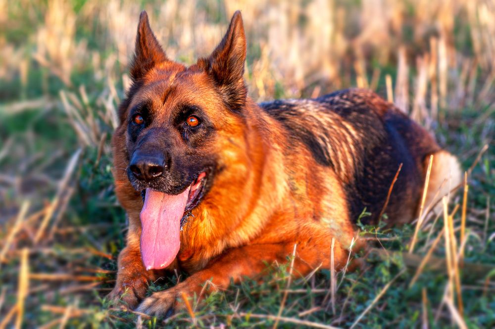 Photograph by Виктор Холодов