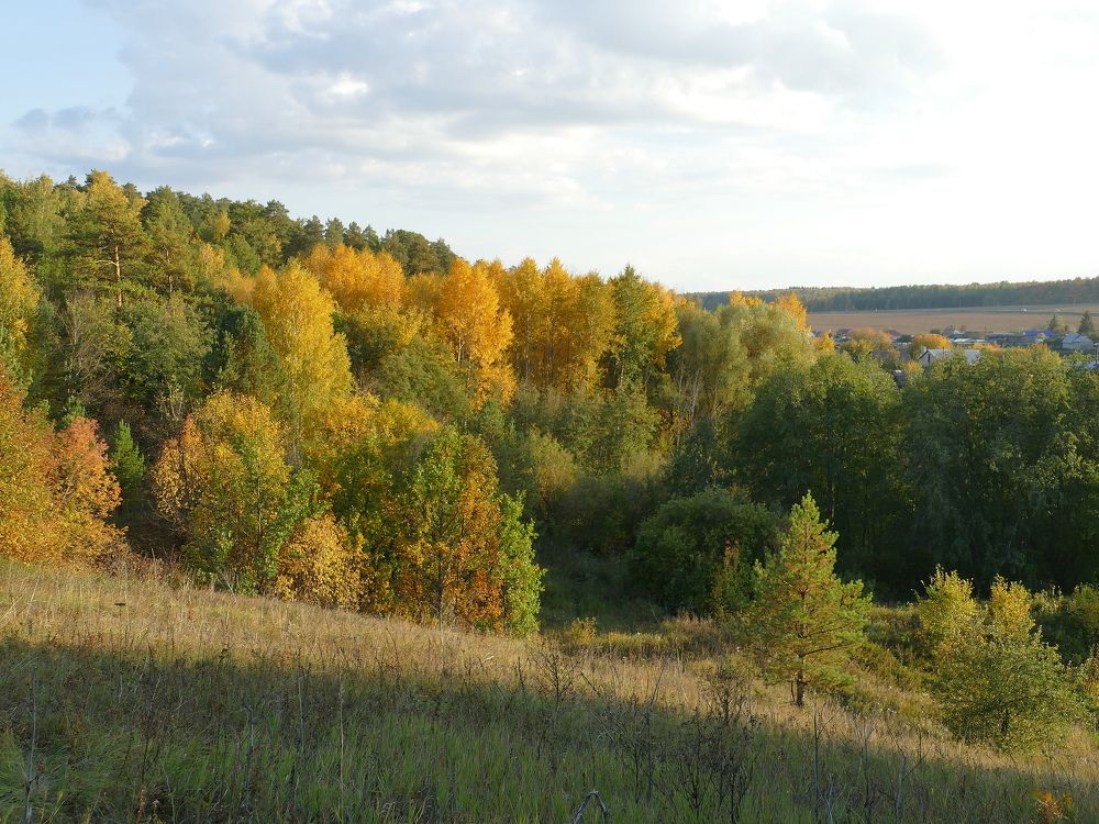 Photograph by Александр Кизим