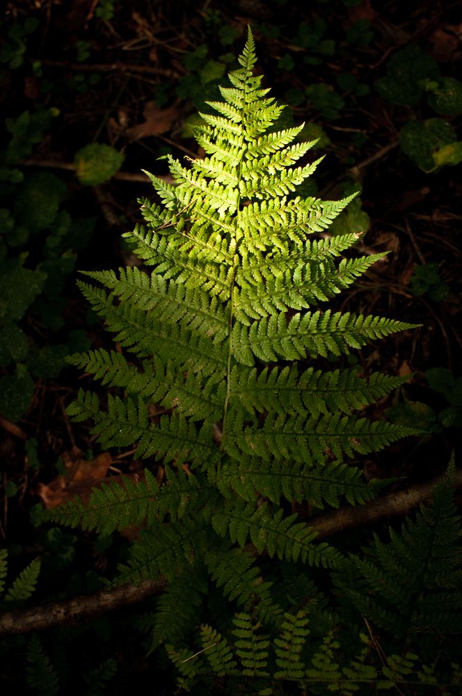 Photograph by Олеся Лагутина