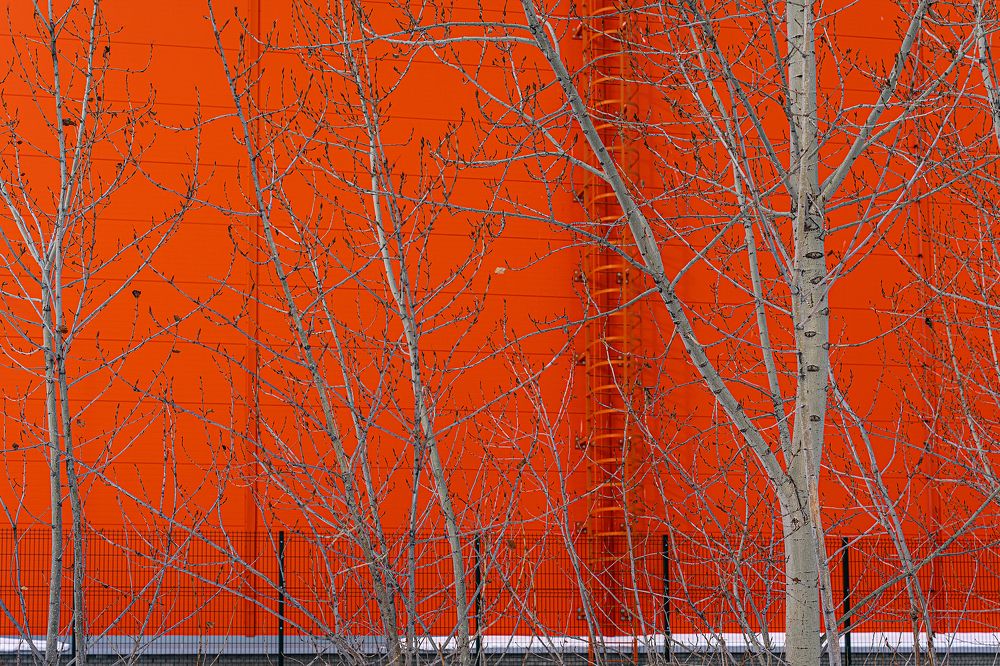 Photograph by Инесса Абрамова