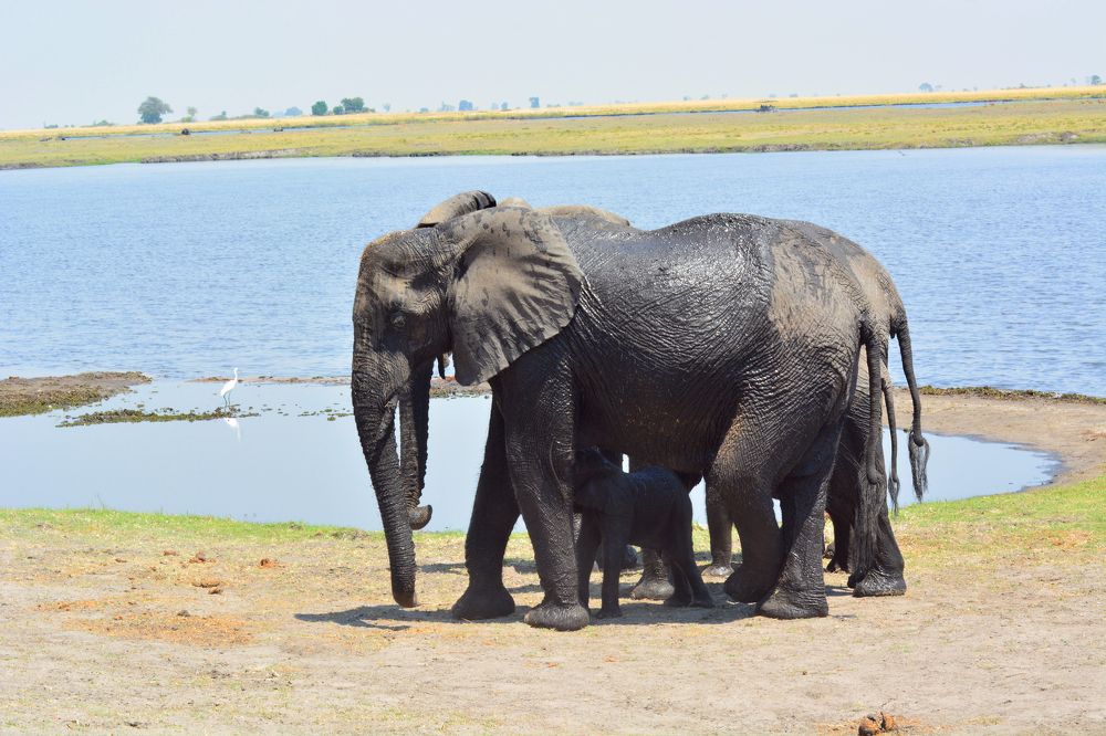 Photograph by Анатолий Орлов