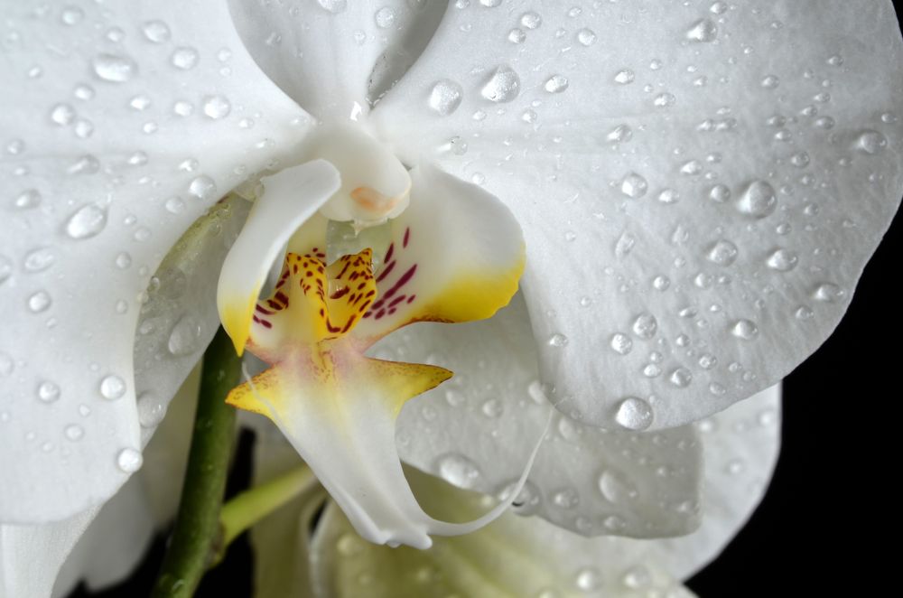 Photograph by Евгений Каримов