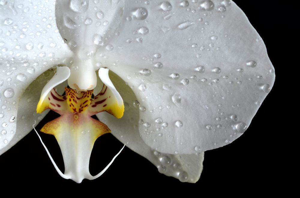 Photograph by Евгений Каримов