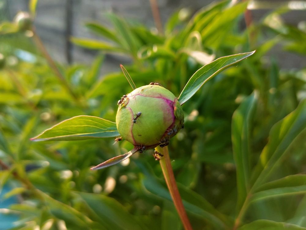 Photograph by Елена Верховская