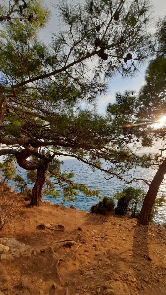 Photograph by Мария Торговцева