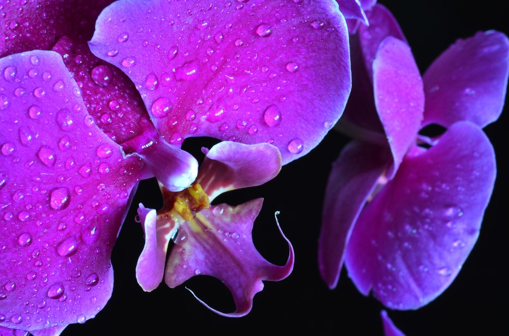 Photograph by Евгений Каримов