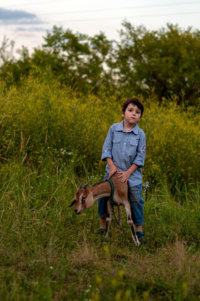 Верхом на козе