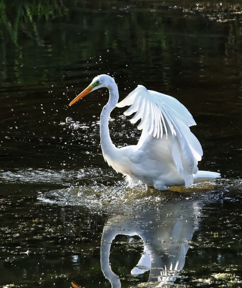 Photograph by Olga Asson