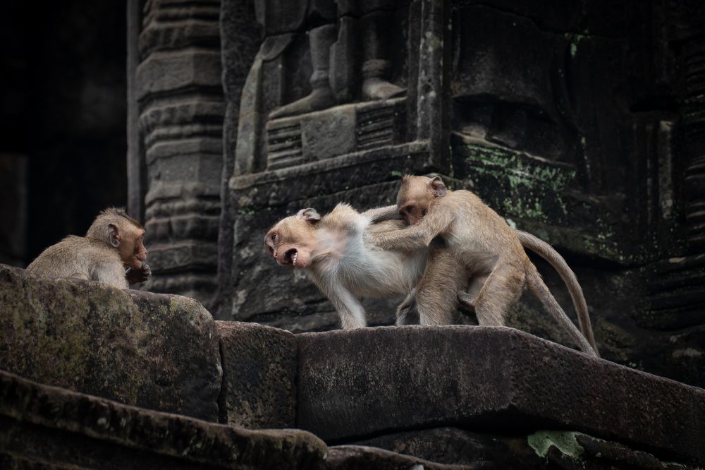 Photograph by Светлана Зимина