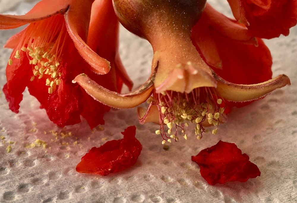 Photograph by Елена Ким