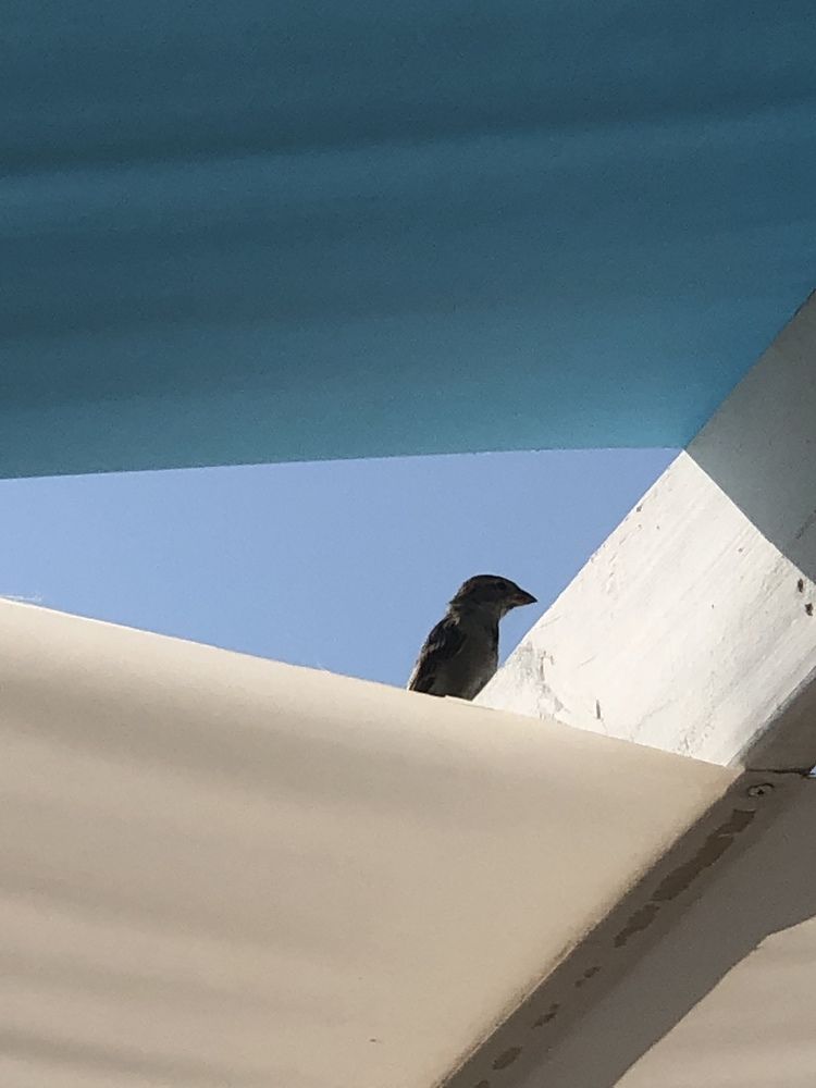 Photograph by Владимир Тетушкин