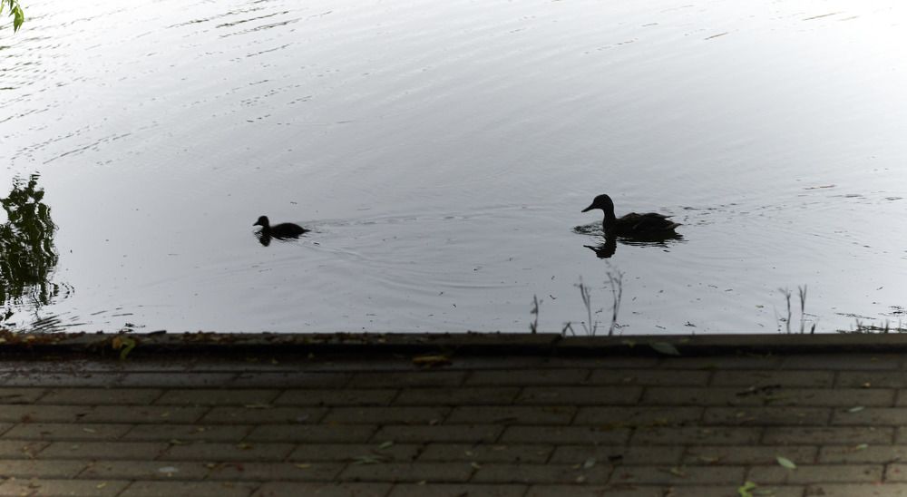 Photograph by Inna Tatarchenko