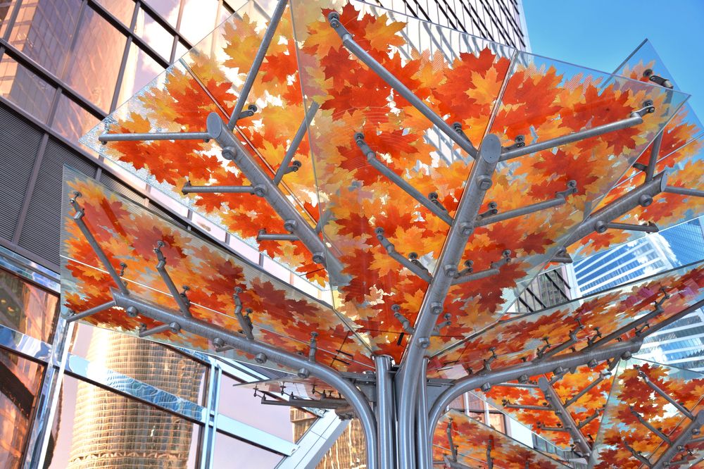 Photograph by Александр Кузнецов