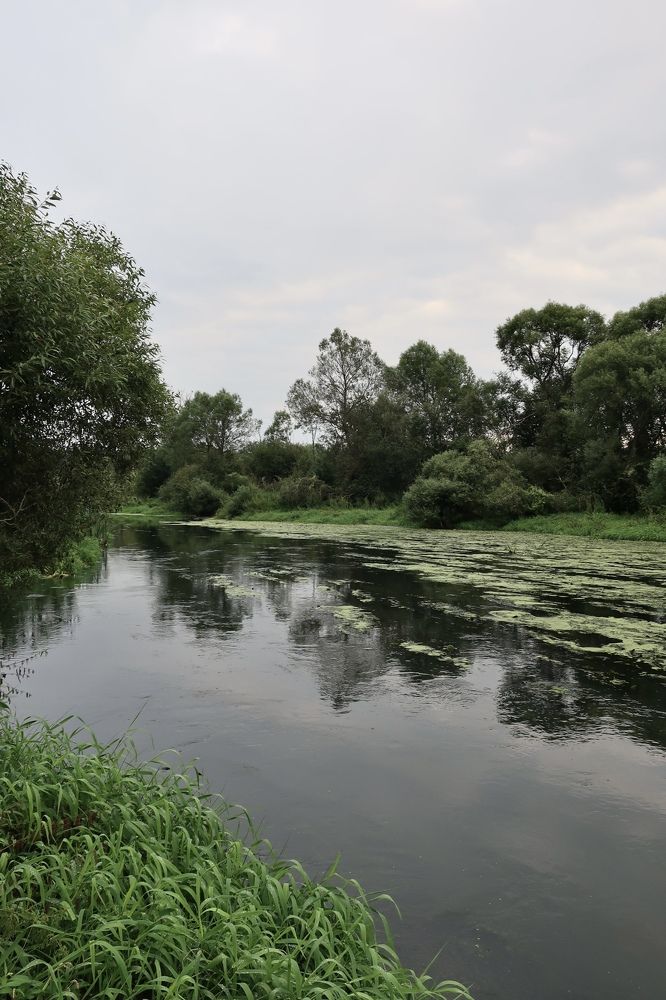 Photograph by Надежда