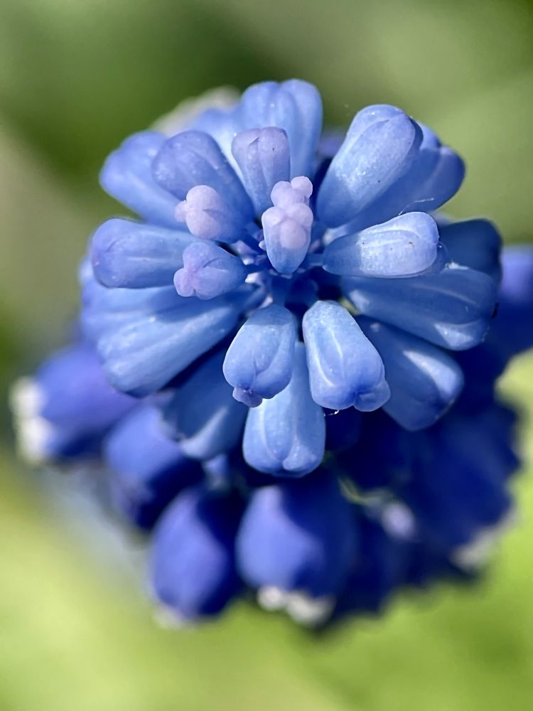 Фотография автора Рамзия Хисамутдинова