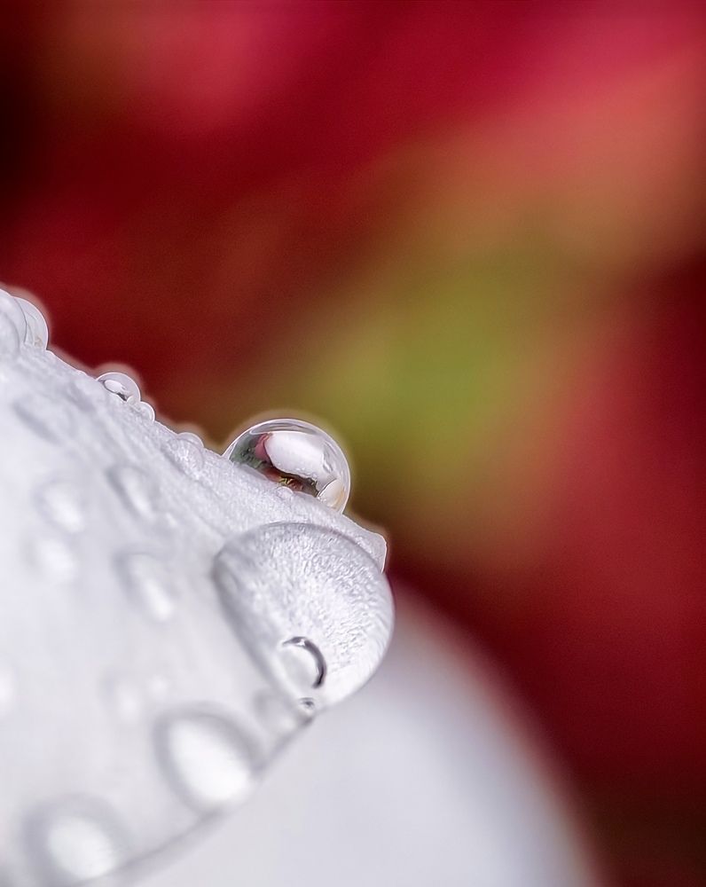 Фотография автора Юра Кладухин