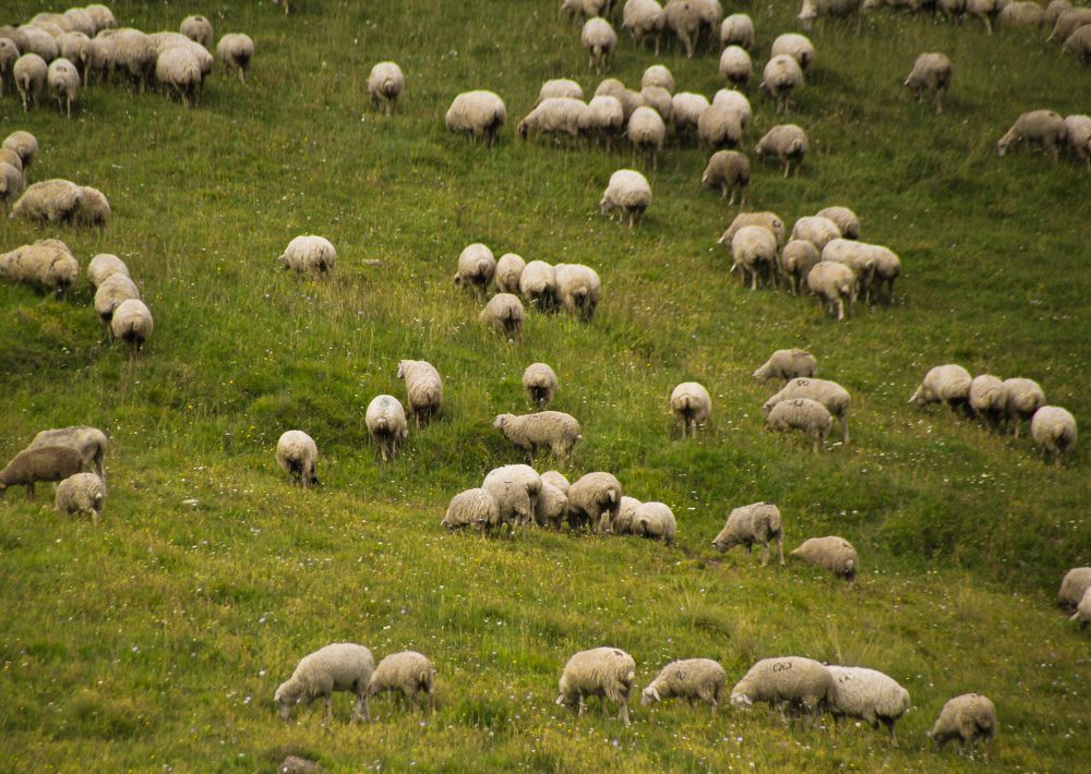 Photograph by Юлия Журавлёва