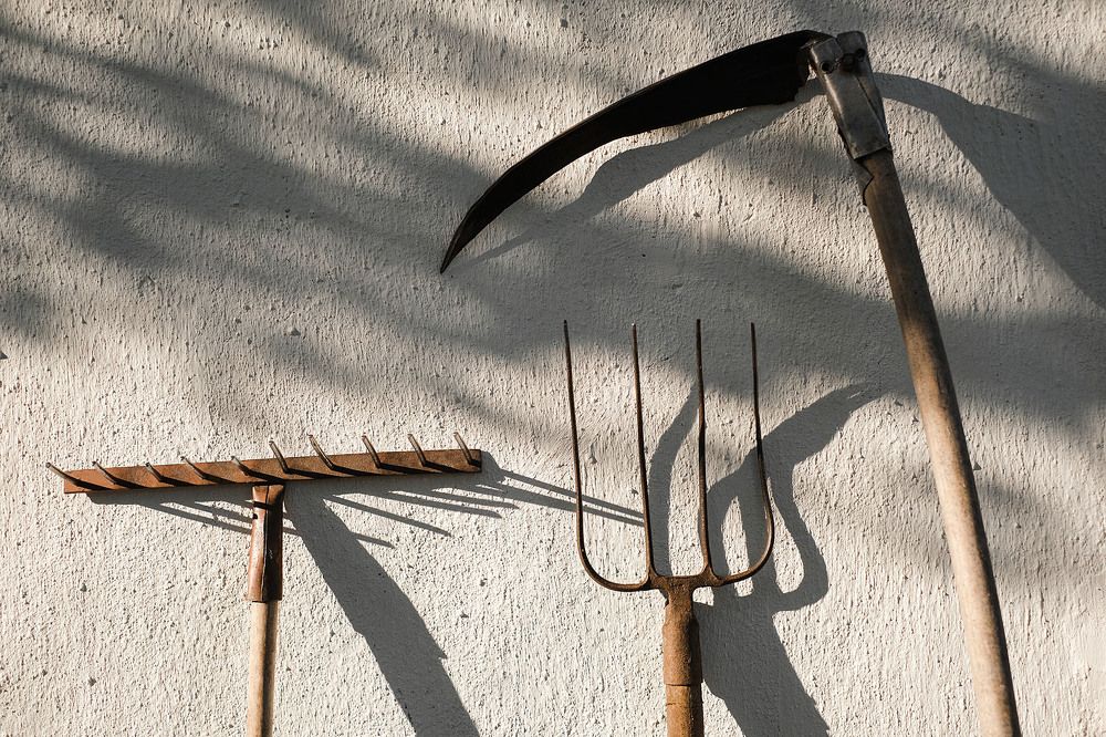 Фотография автора Андрей Русецкий