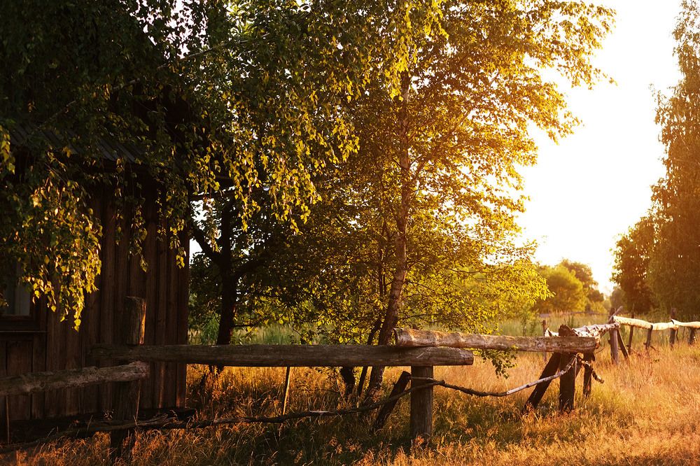 Фотография автора Андрей Русецкий