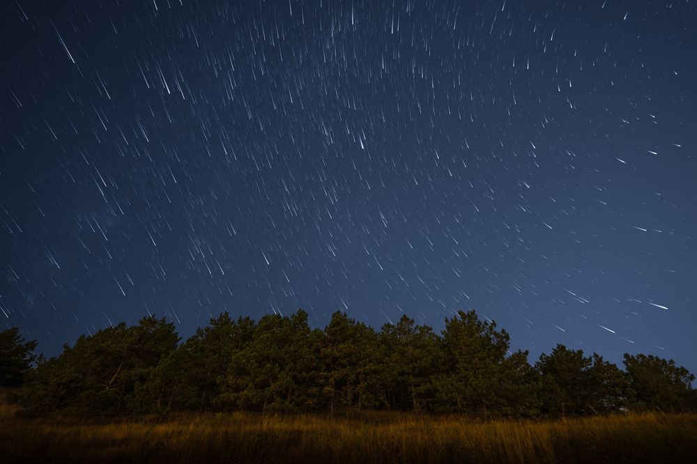 Starry Serenade Over Silent Woods