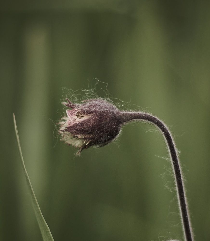 Photograph by Inna Tatarchenko