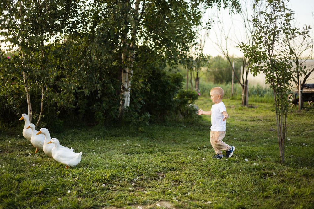 Photograph by Елена Павлова